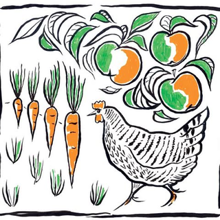 Coleshill Organics - Oxfordshire