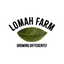 Lomah Farm - Jersey