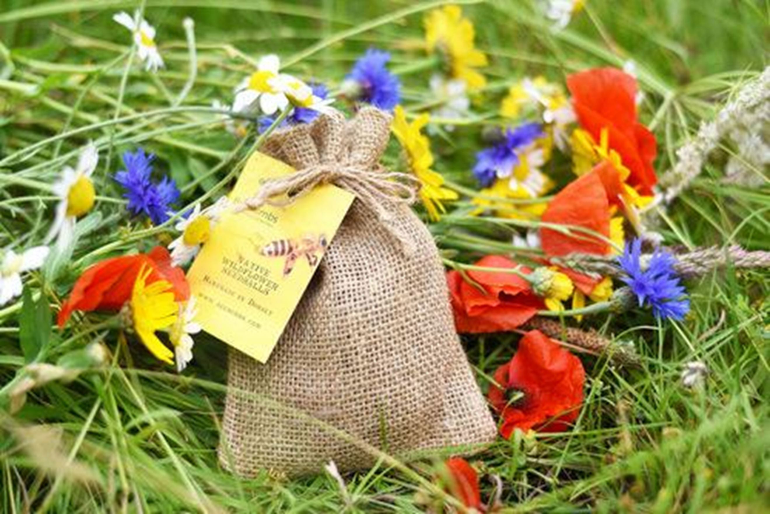 Beebombs | Wildflower Seed Bombs - Bring Back The Bees | United Kingdom