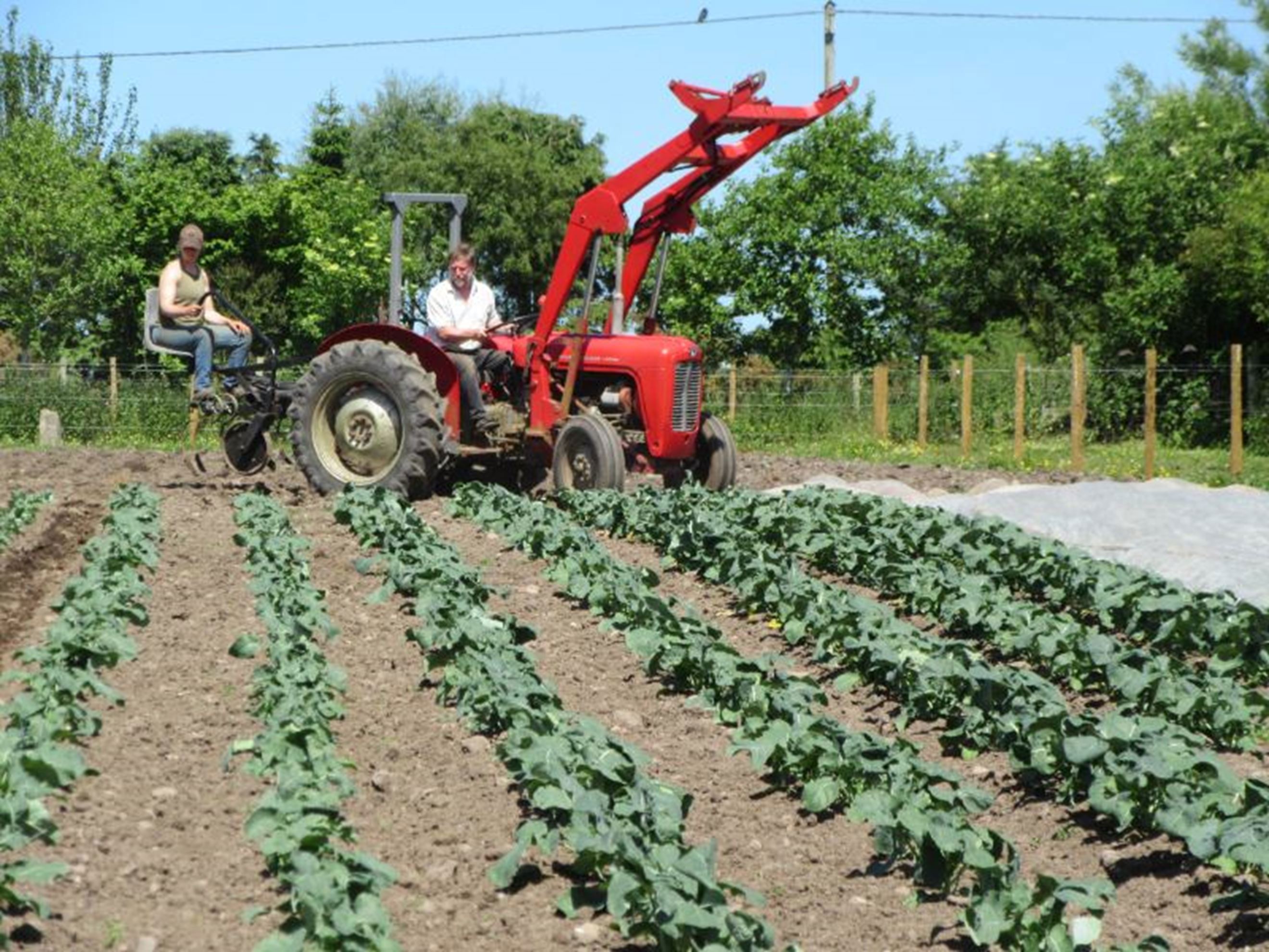 Lembas Organics Grower United Kingdom