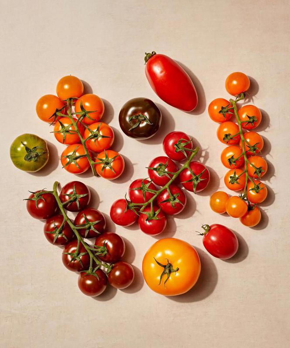 Isle of Wight Tomatoes