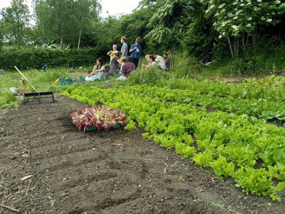 Meanwood Valley Urban Farm