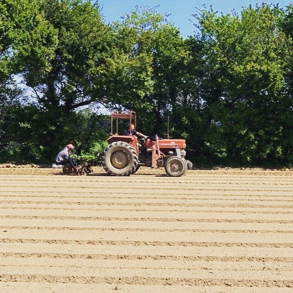 East Kent Growers