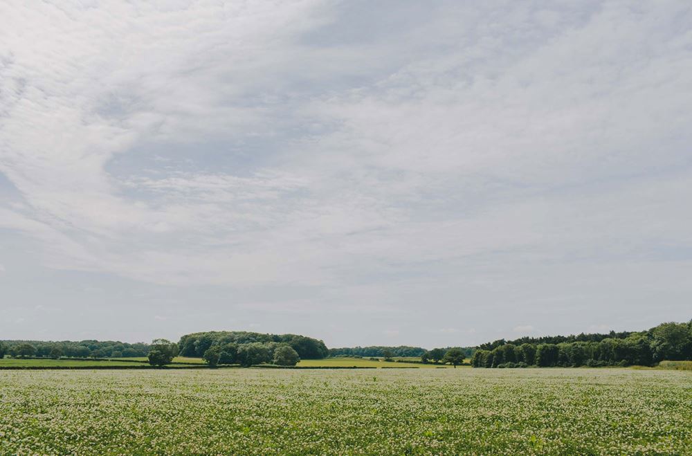 Bagthorpe Farm