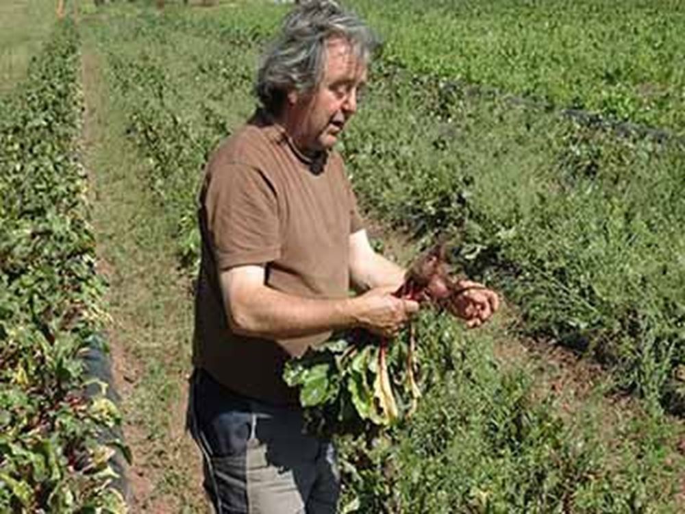 Carey Organics