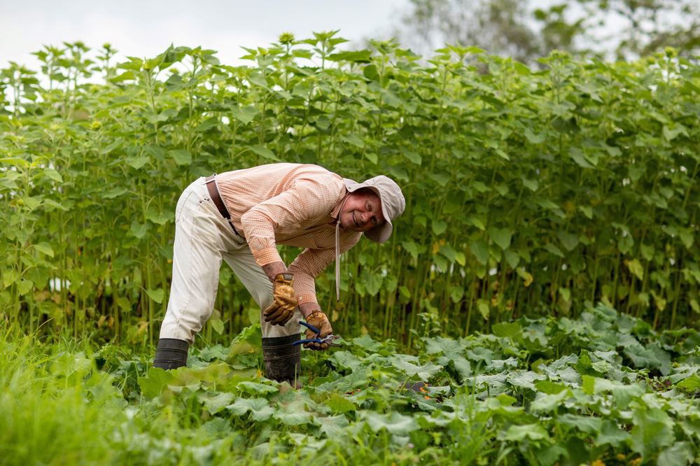 Warrah Biodynamic Farm