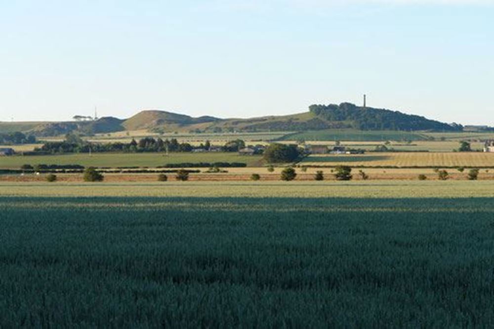 Mungoswells Malt & Milling