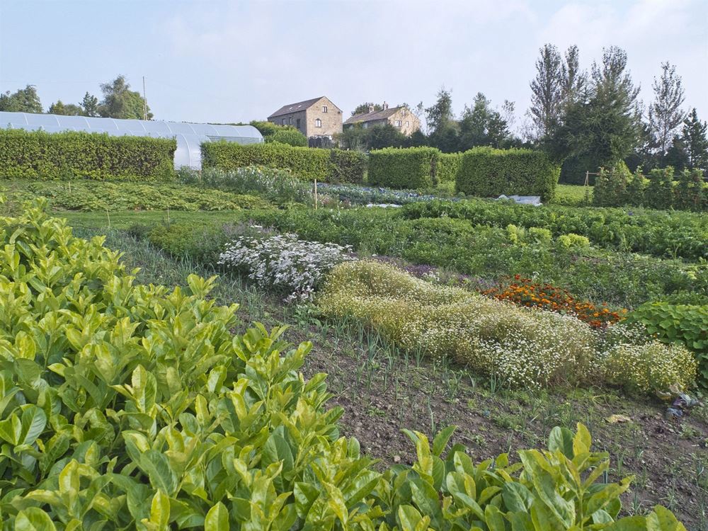 High Riggs Biodynamic Garden