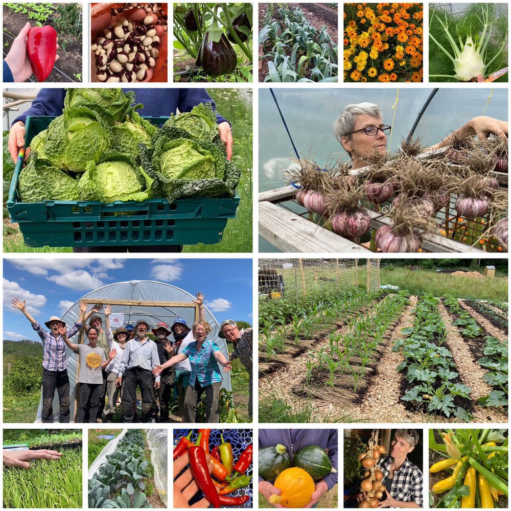 Enfys Veg