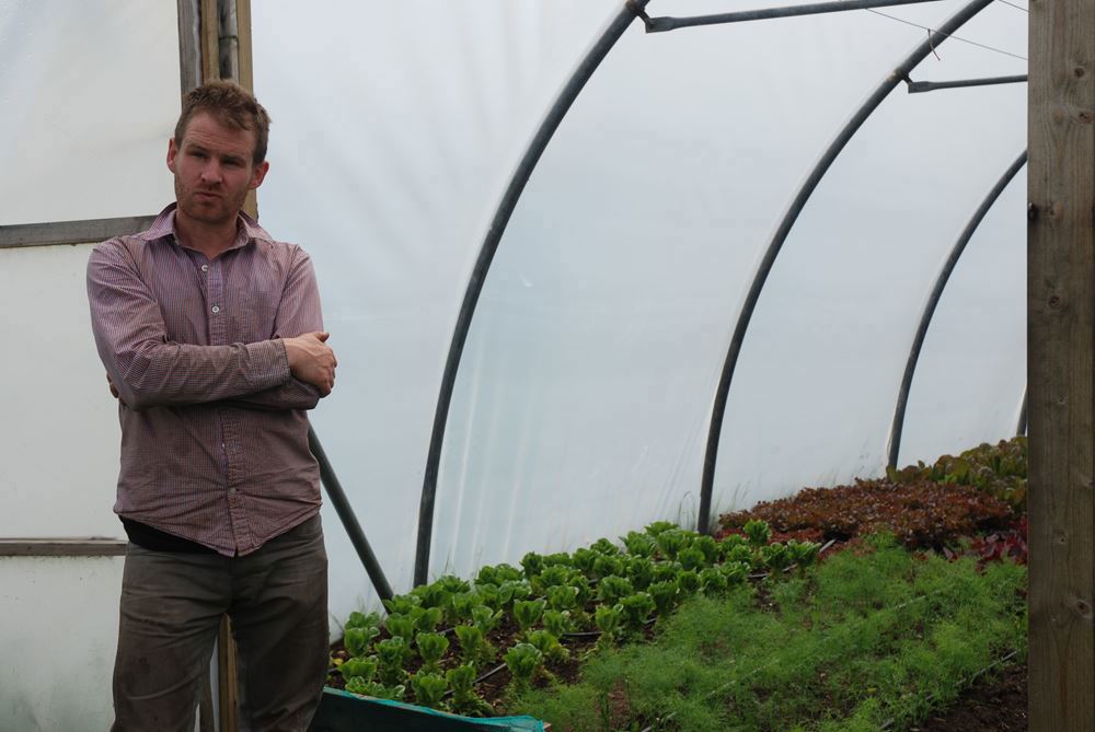 Long Causeway Market Garden