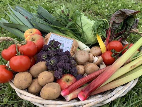 The Veg Shed