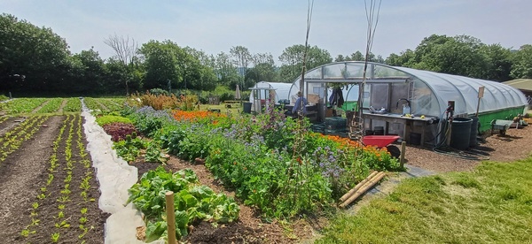 Moss Valley Market Garden