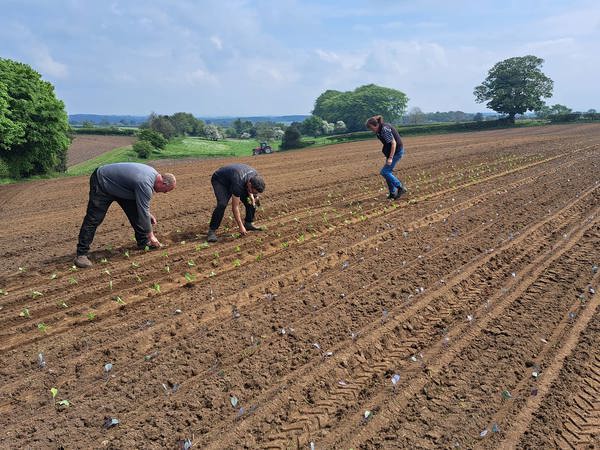 Newfields Organic Produce