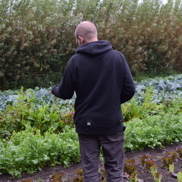 Will @ Long Causeway Market Garden