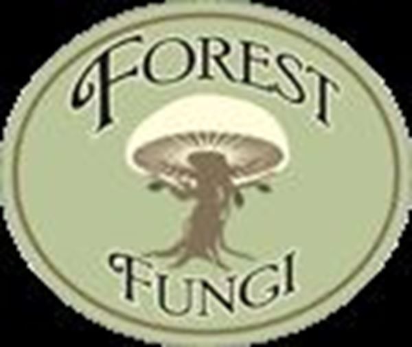 Forest Fungi 