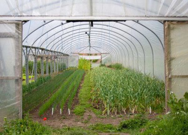Coleshill Organics