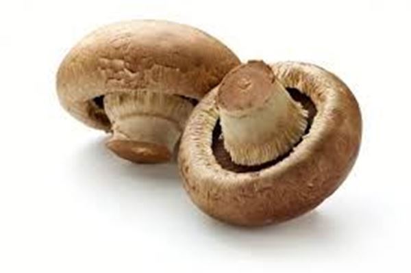 Capel Mushrooms