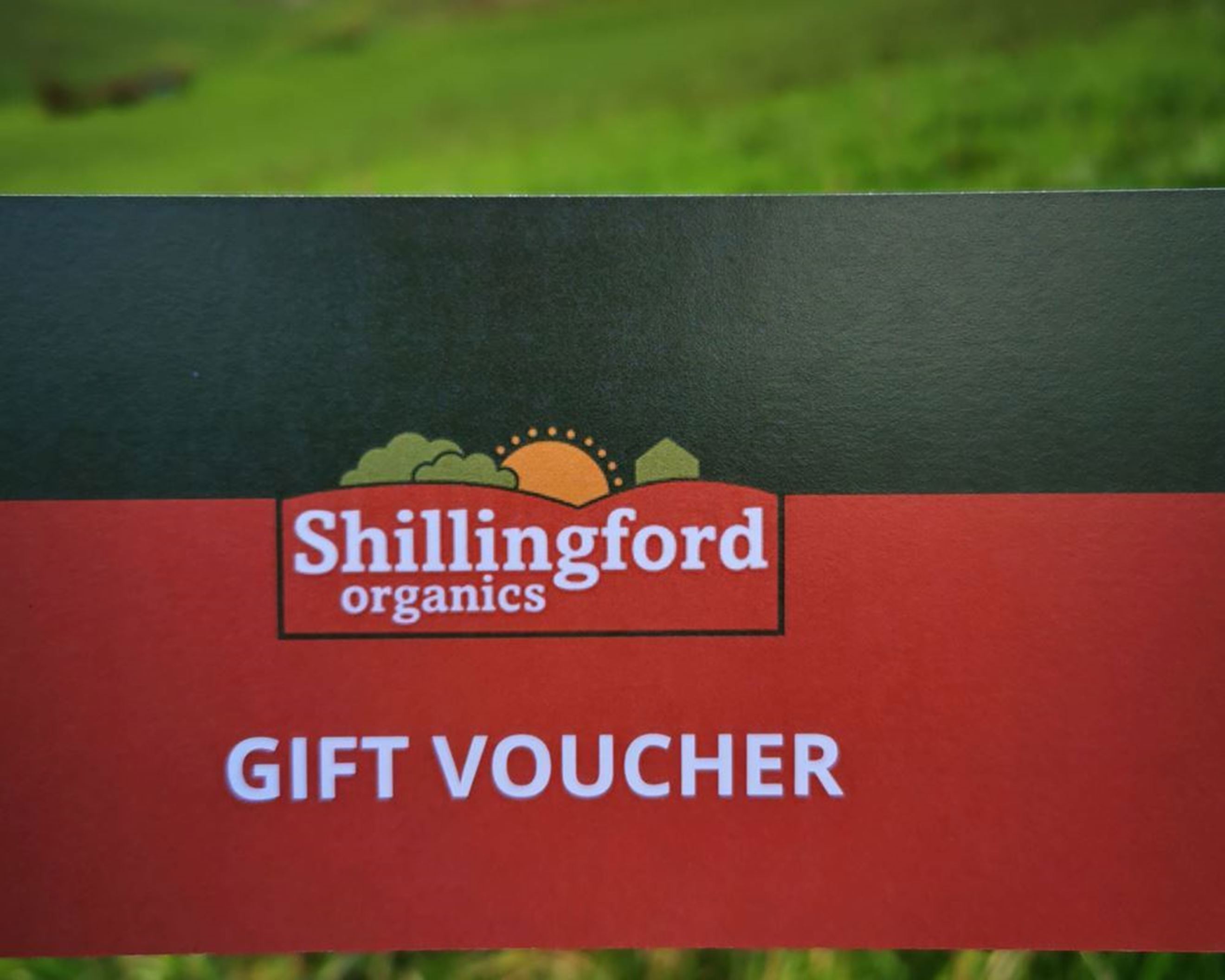 Shillingford Organic T Voucher £25 Shillingford Organics Exeter