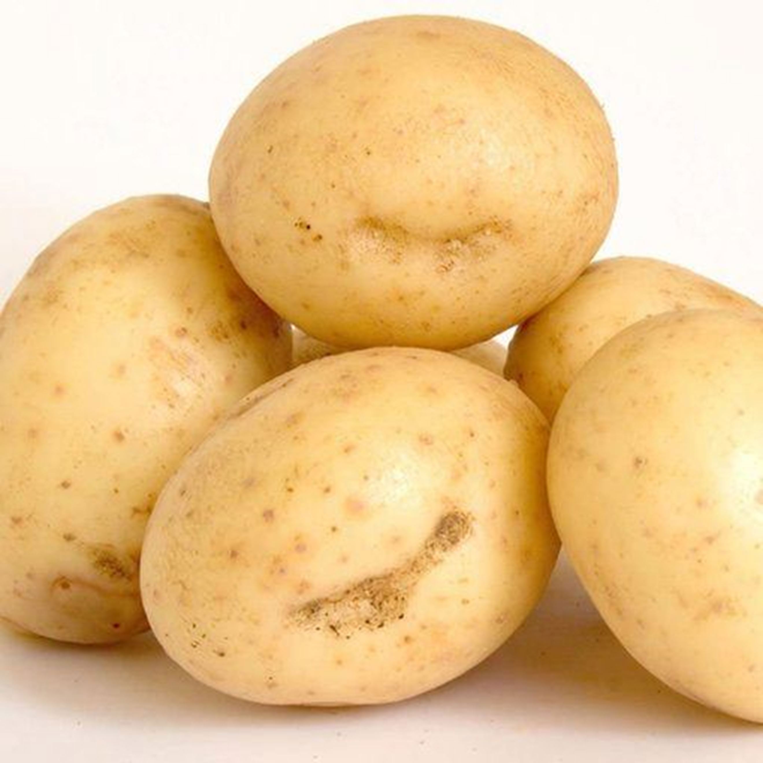 Колетте картофель характеристика отзывы. Сорт картофеля Венета. Сорт картофеля Лабелла. Сорт Венета. Сорт картофеля Арлекино.