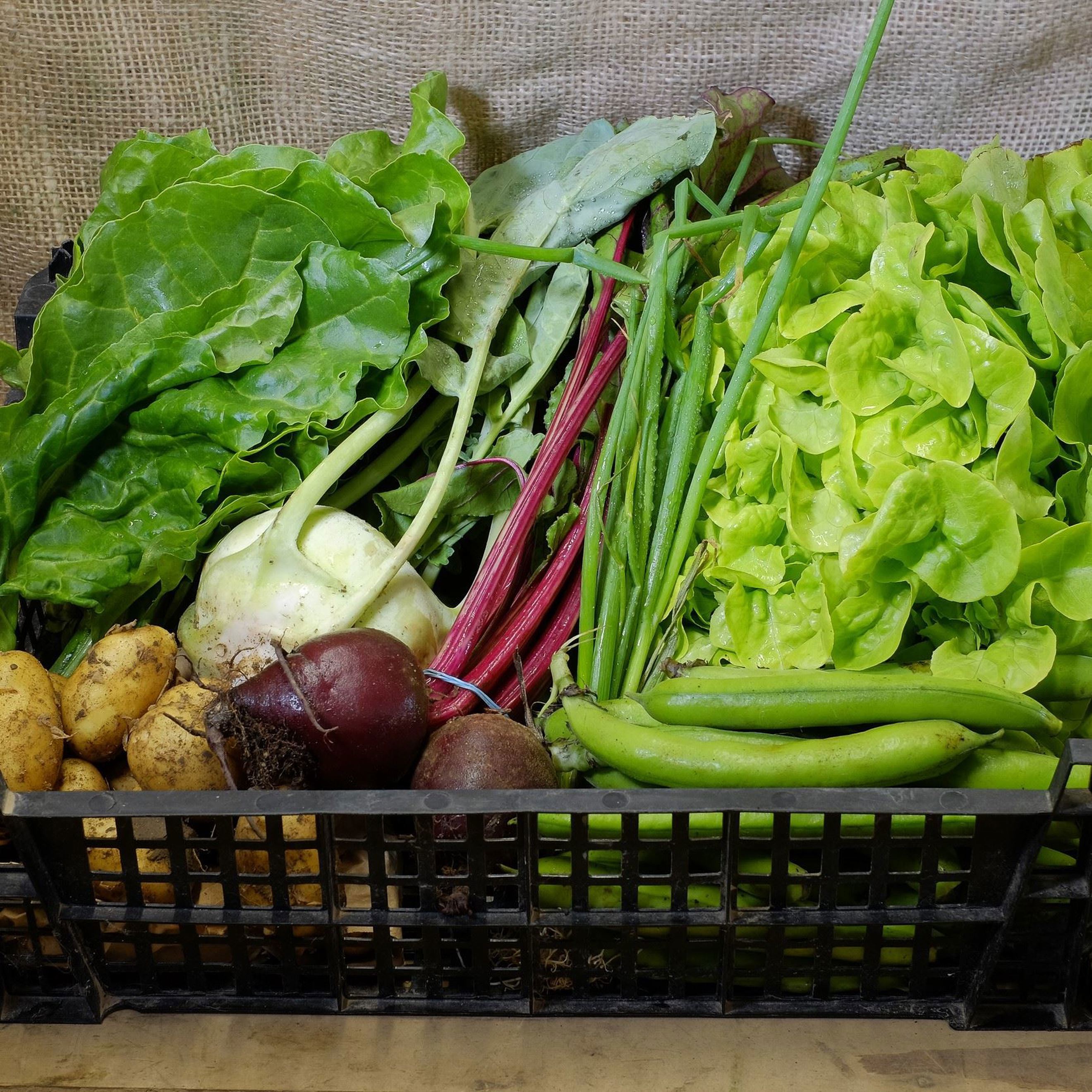 £13.25 Vegetable Box | Sarah Green's Organics