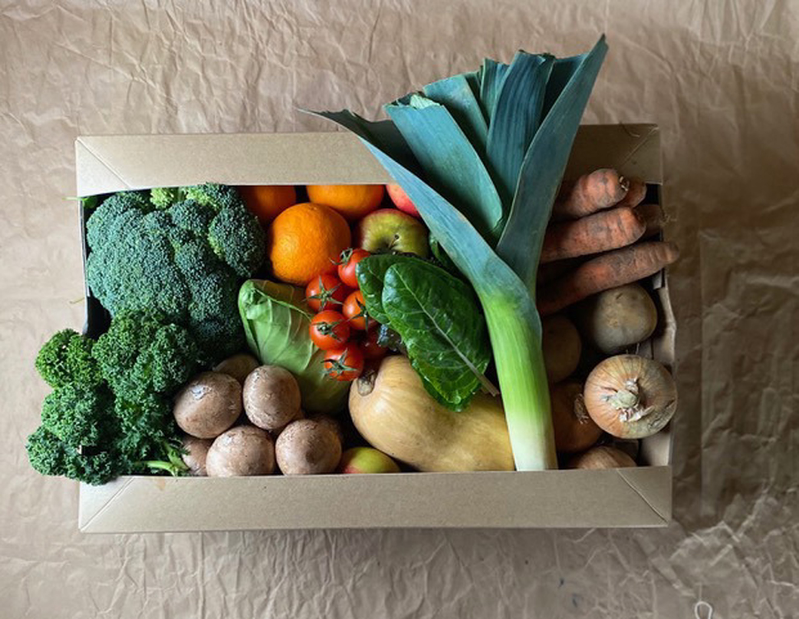 v.Cabbage pointed | North Aston Organics · Oxford / North Oxfordshire