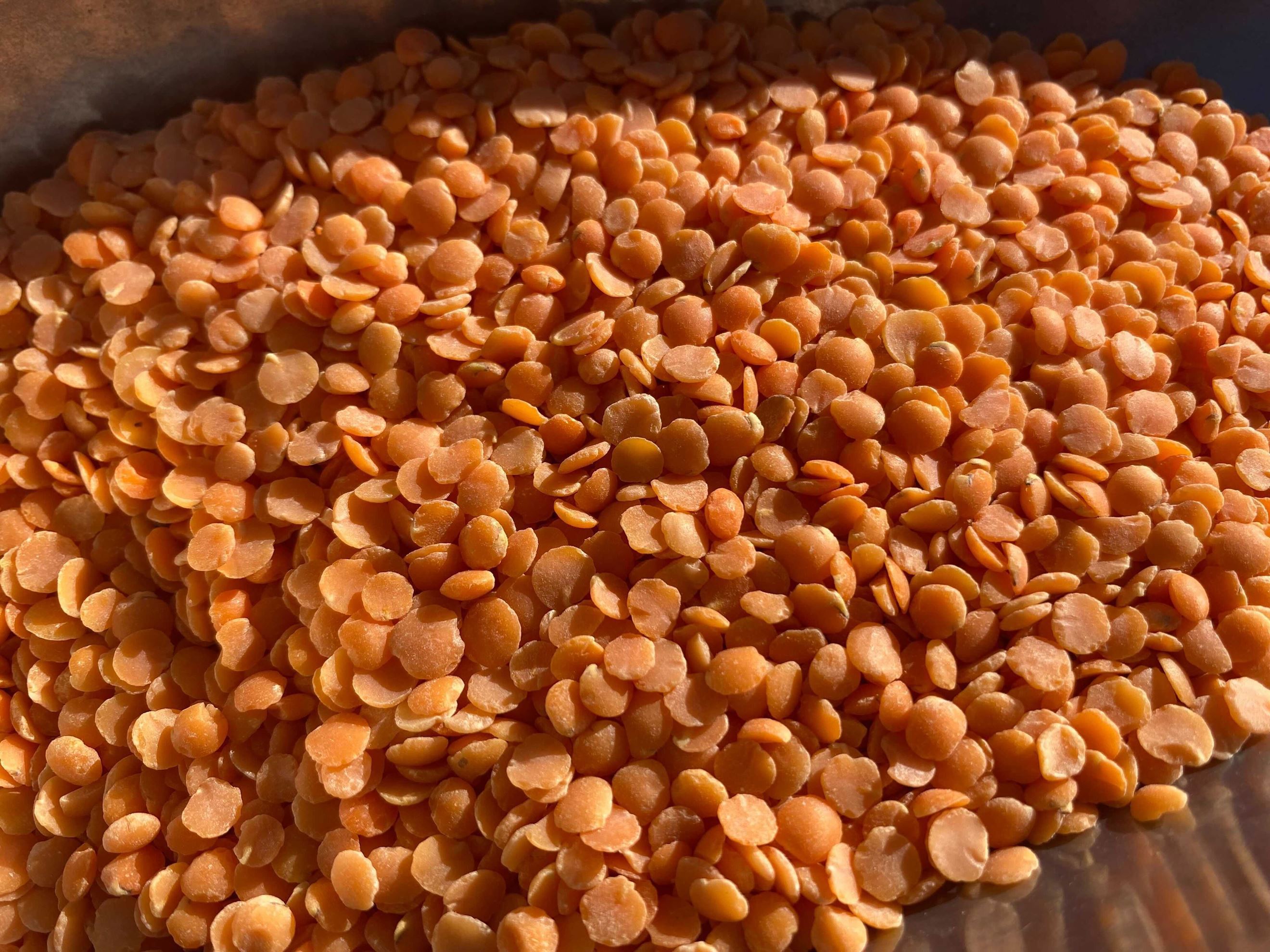 Lentil: Sunset Red Masoor Dal - DI | Sydney | Ooooby