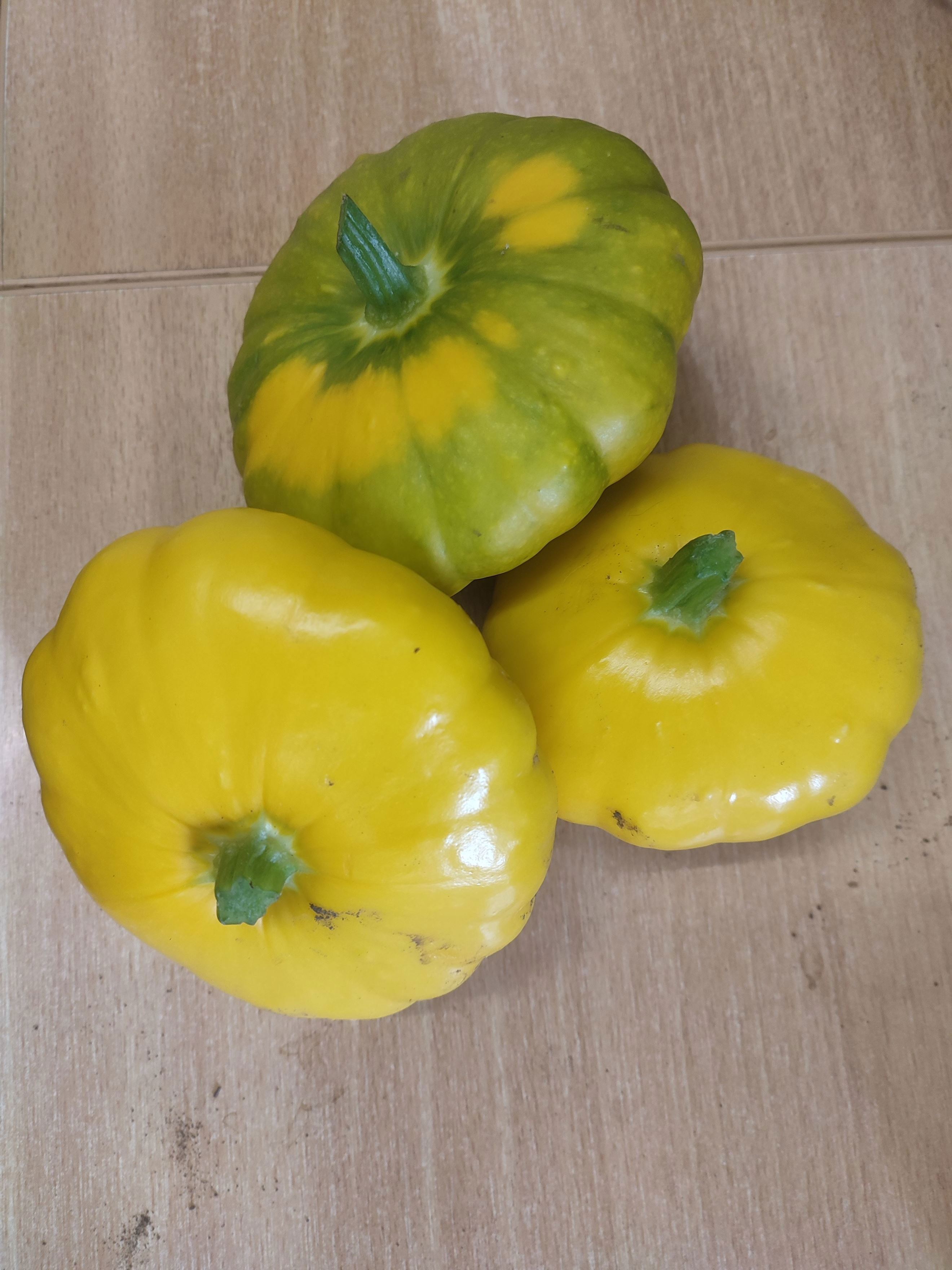 Patty Pan Squash (own grown) | Growing with Grace - South Cumbria ...