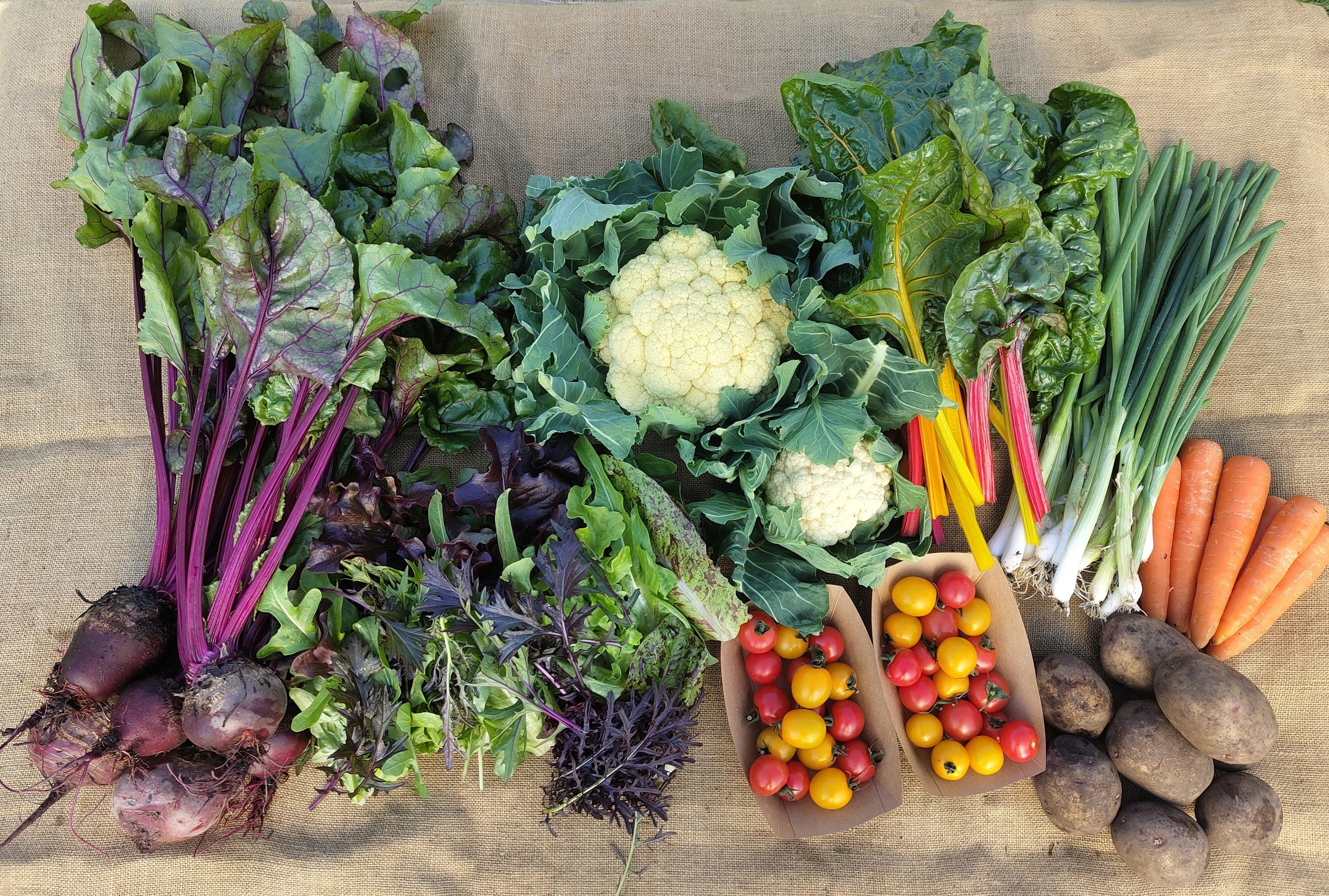 Full House Veg Box | Real Food Garden - Cornwall