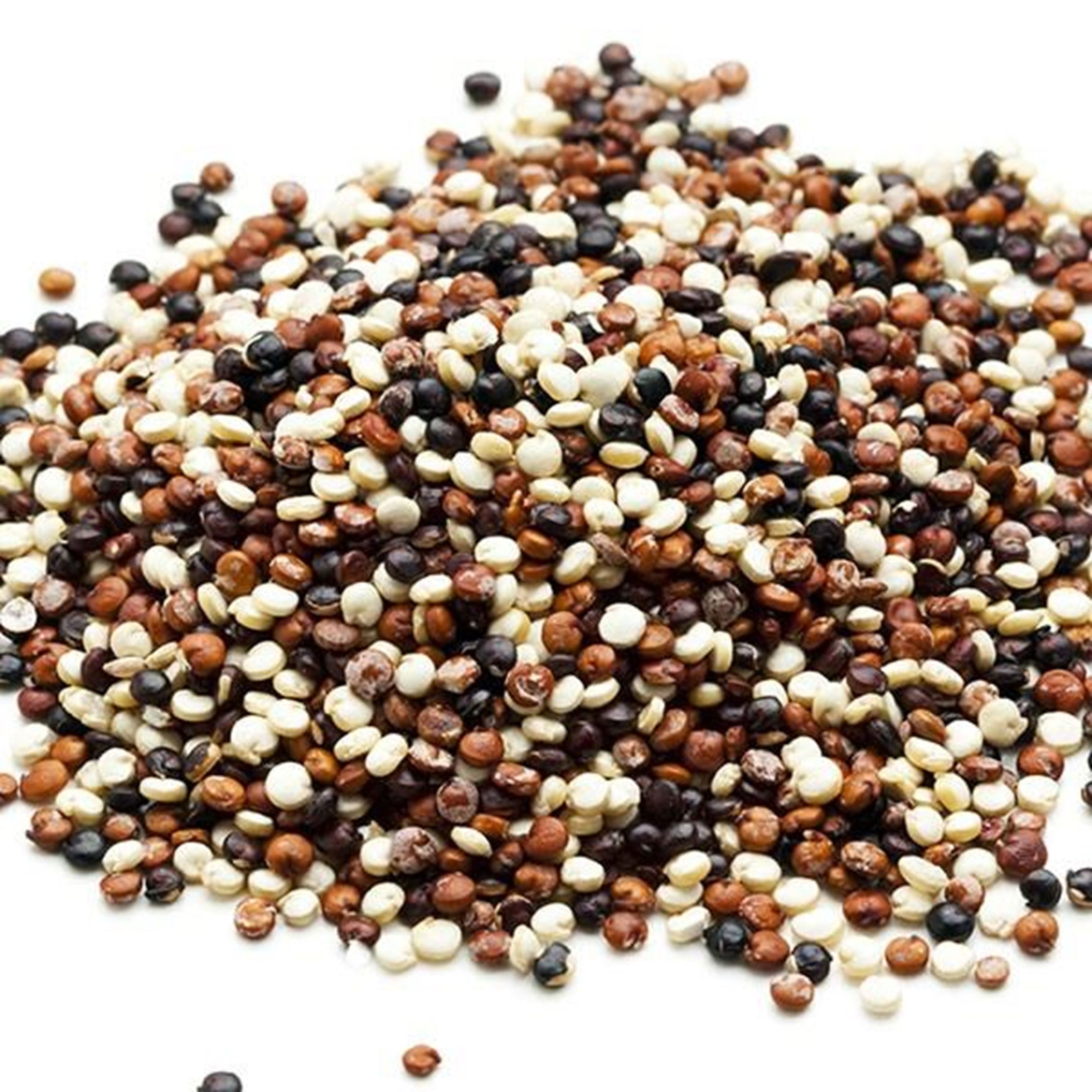 Busy Beans Organic Tricolour Quinoa – 5kg Bag, Certified Organic & Vegan, Perfect For Healthy Meals
