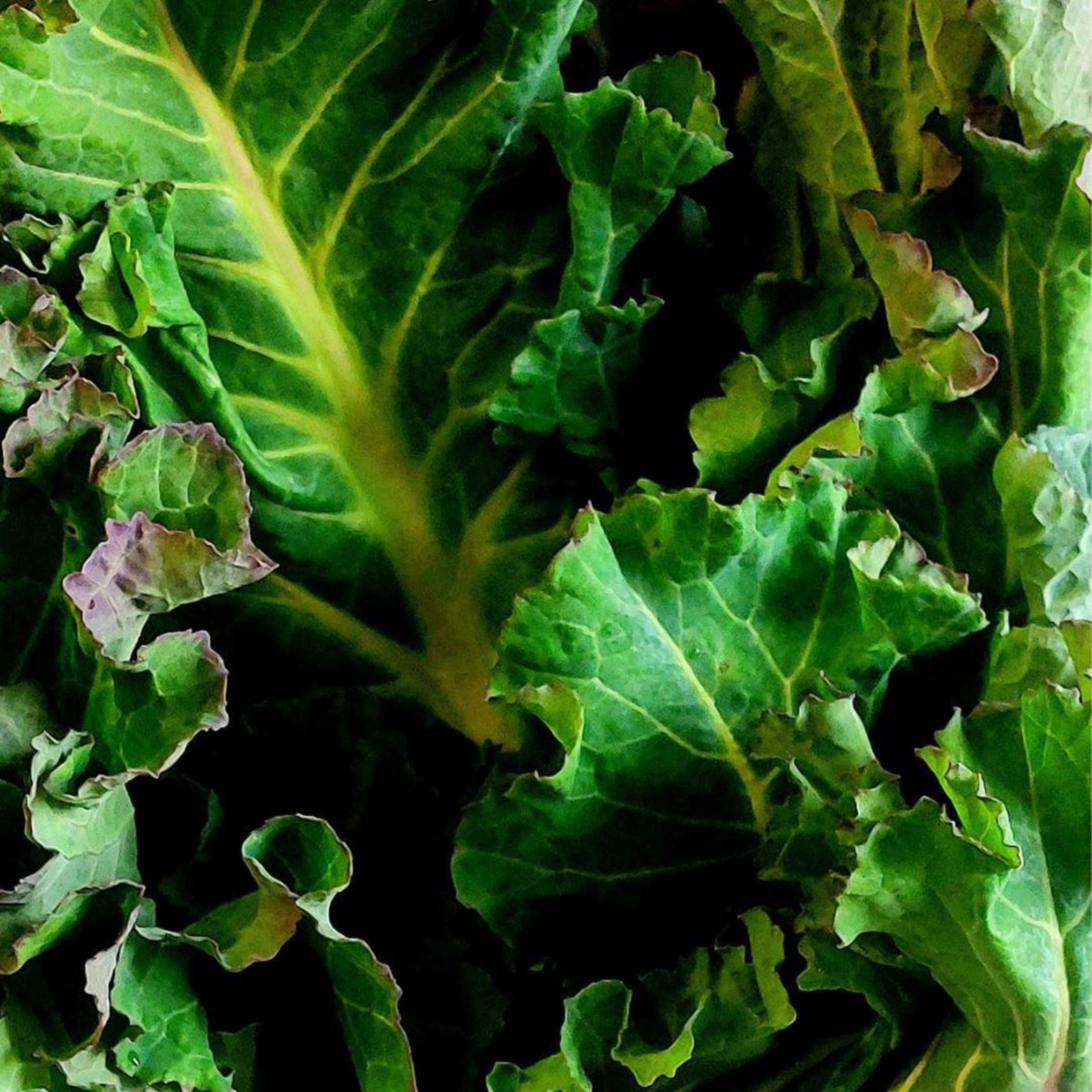 Seasonal Greens (175300g) Locavore Locavore