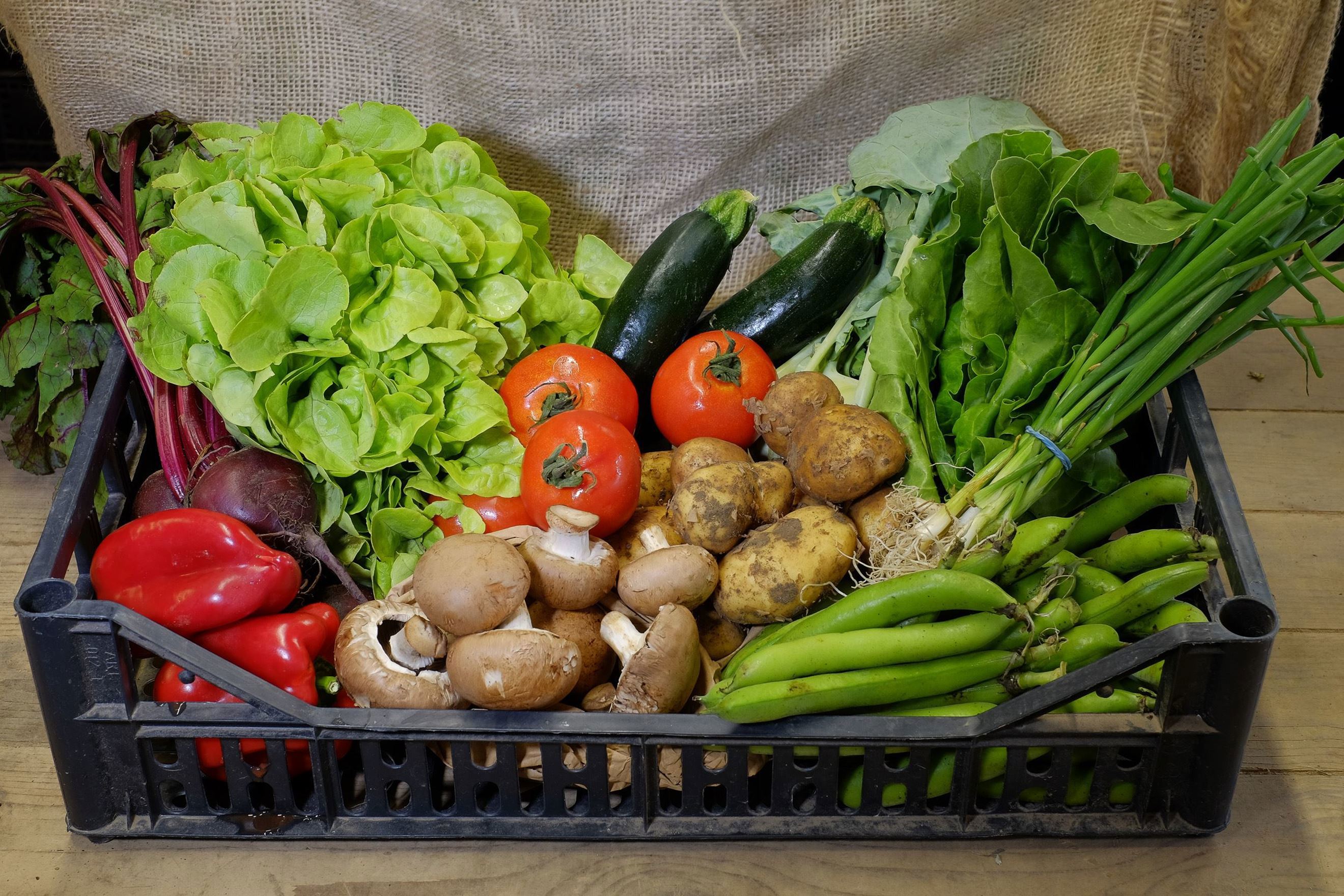 Organic food box delivery sales