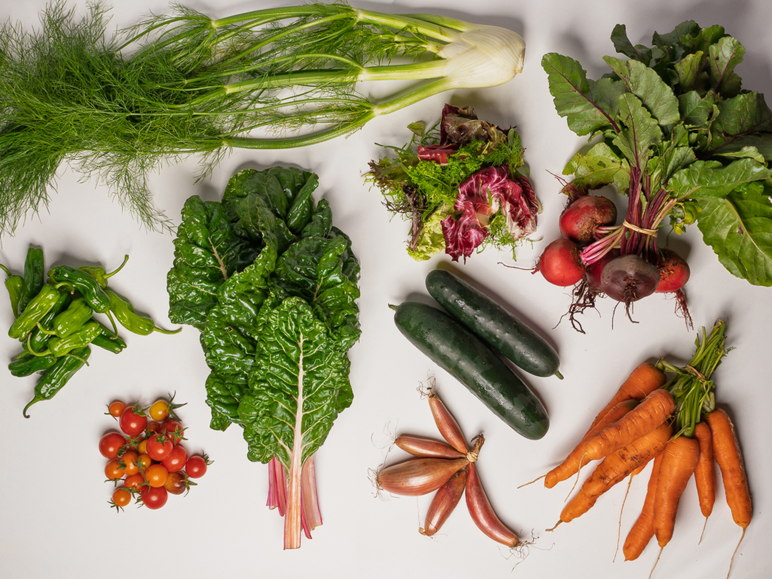 SEASONAL ORGANIC VEG BOXES | Trill Farm Garden · East Devon