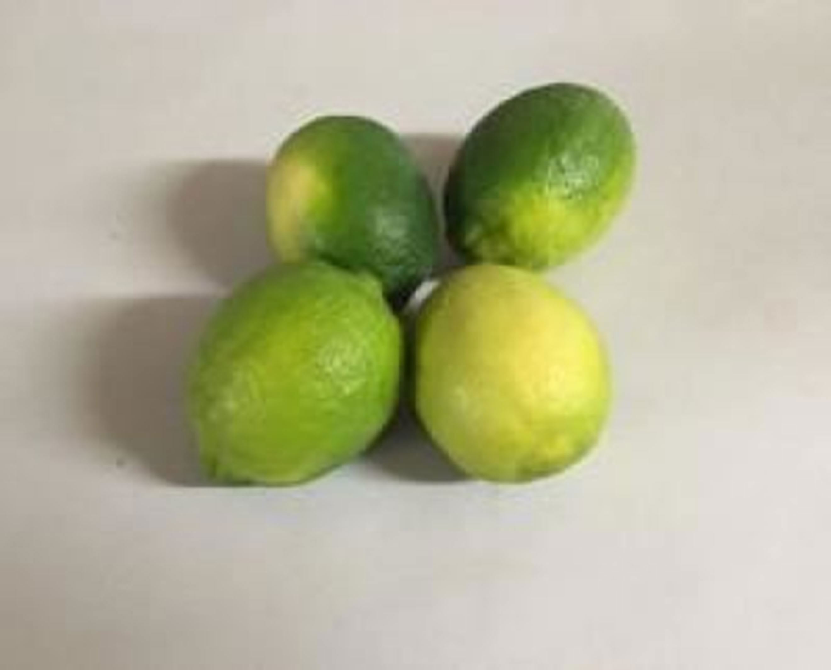Limes Organic BR Shillingford Organics Exeter Shillingford Organics
