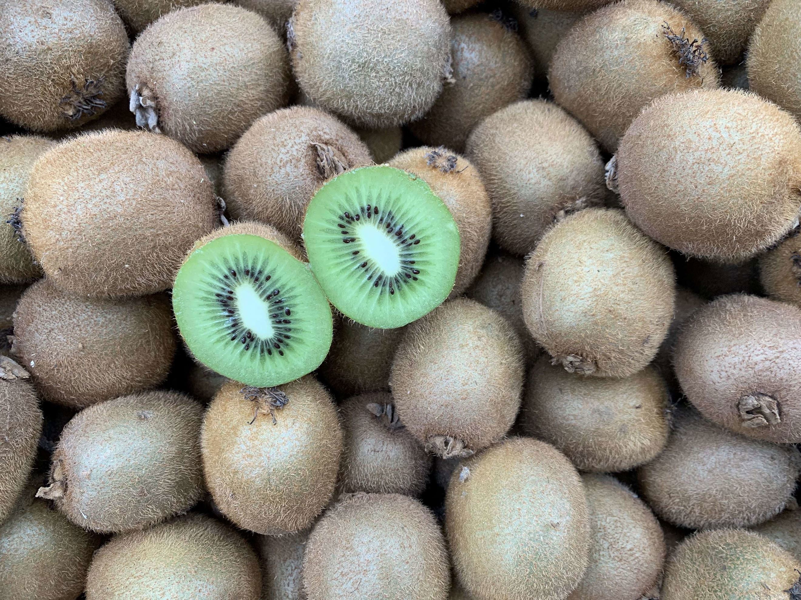 Kiwis (Italy) | Growing With Grace - South Cumbria, Lancashire, North ...