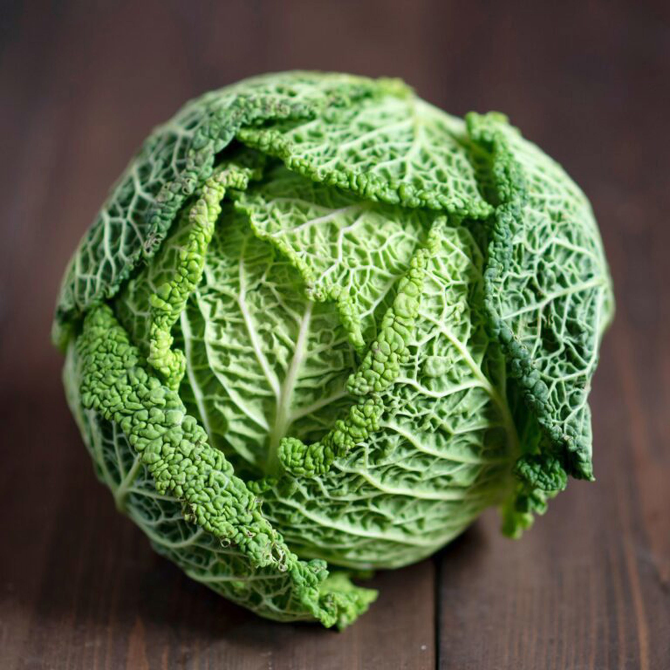 Cabbage Each Cabbage Green UK - Each | Macleod Organics · Scotland