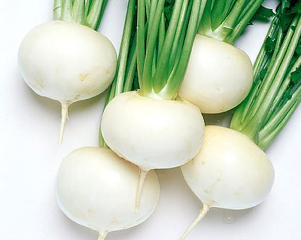 Turnip: Baby Tokyo