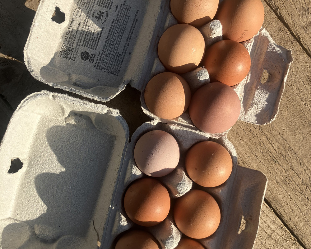 Eggs Dozen