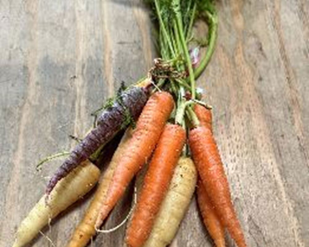 Carrots - Rainbow, Bunched (Suffolk, UK)