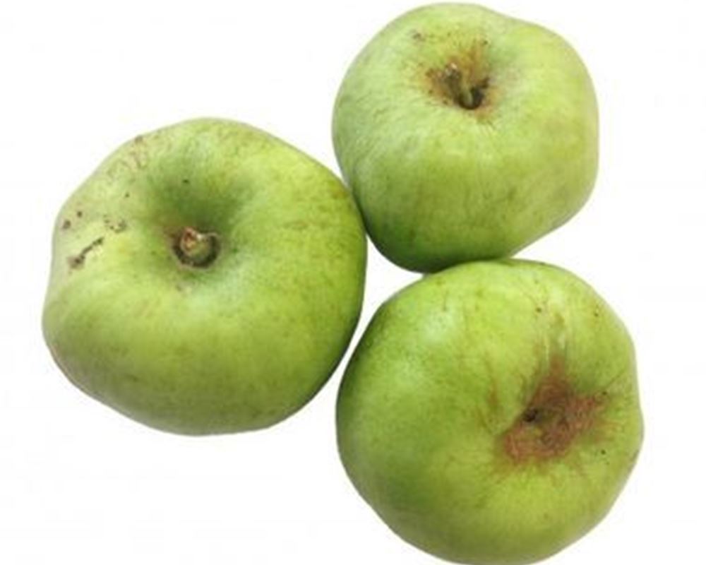 Cooking Apples 500g