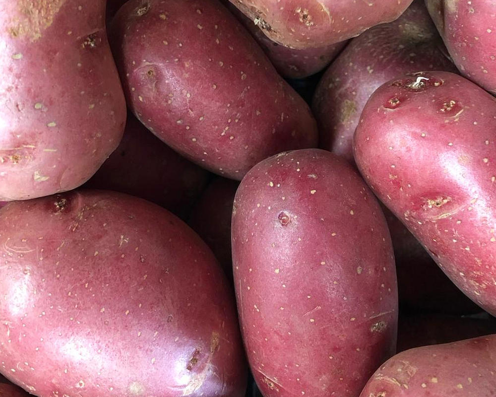 Potatoes - Red - 1kg