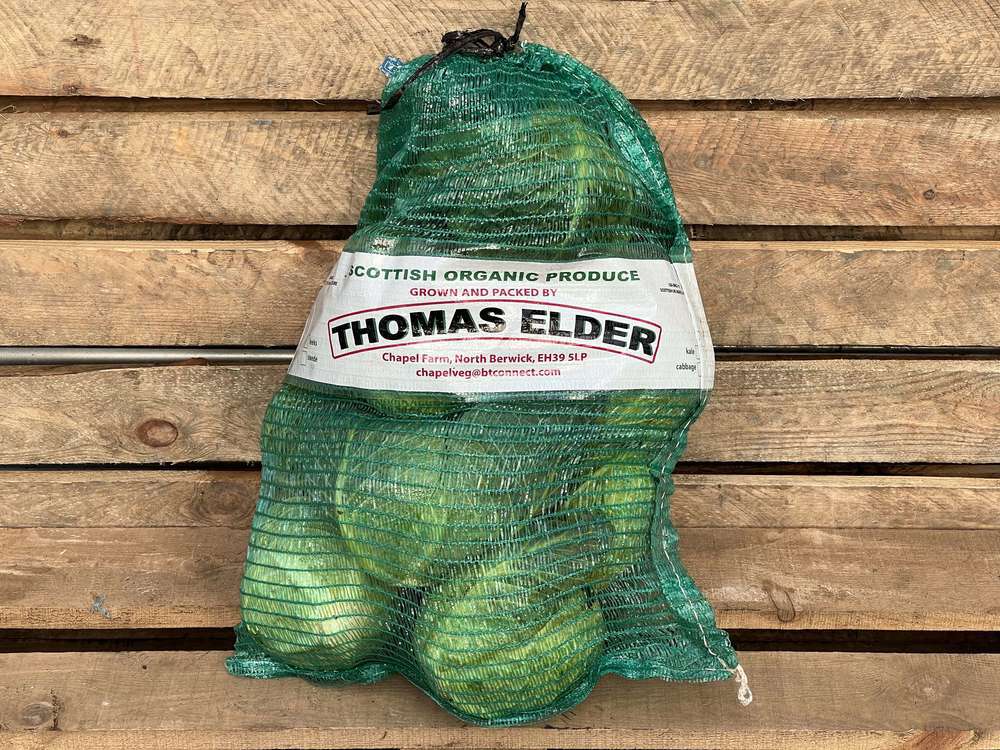 Organic Cabbage Tundra