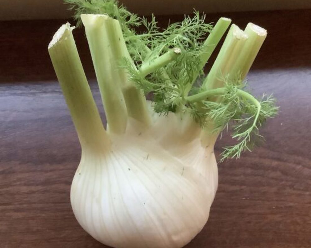 Fennel