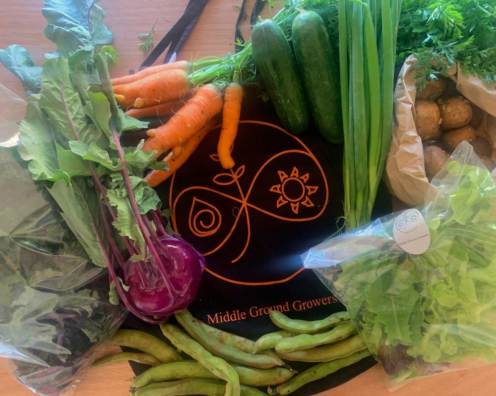 Medium Veg Bag - Standard