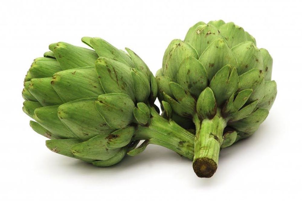 Globe Artichokes