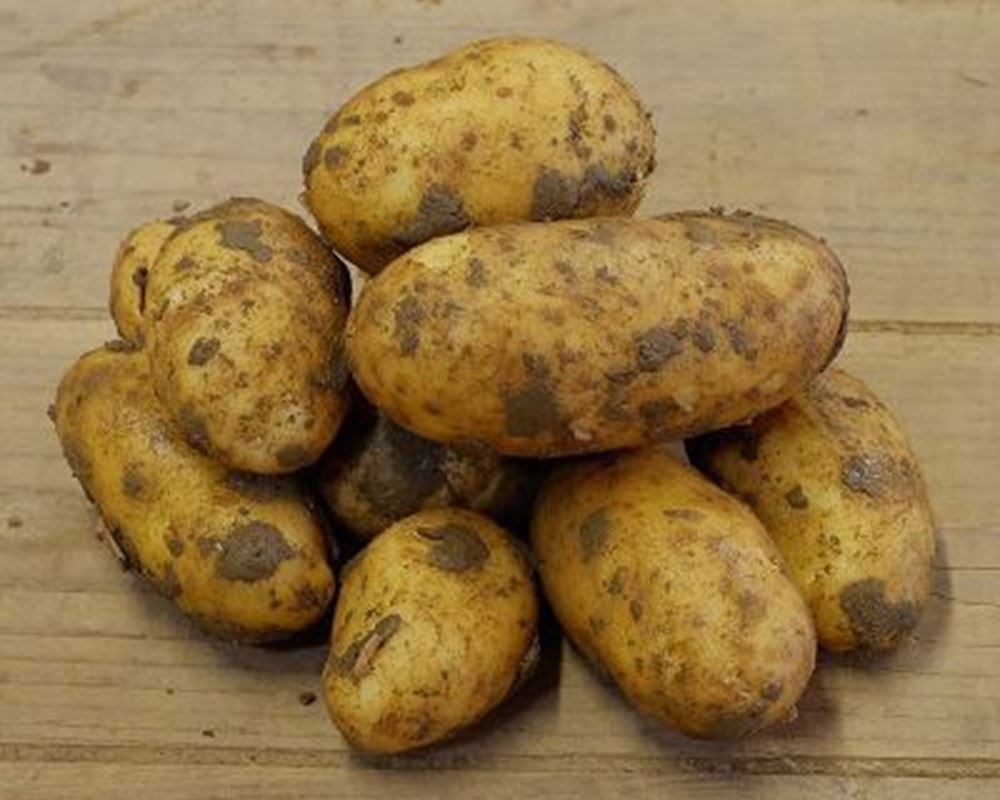 Potatoes-Cara