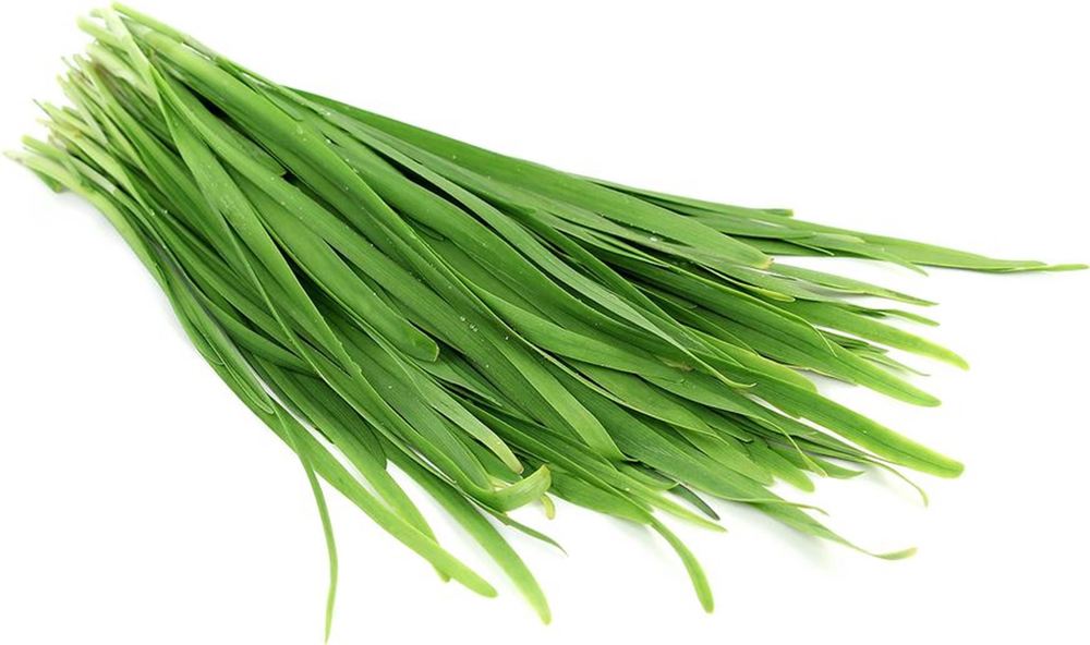 Herbs: Chive- Garlic