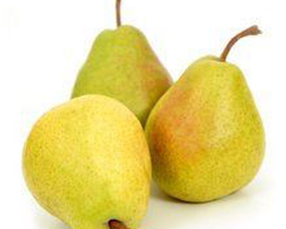 Pear: Williams