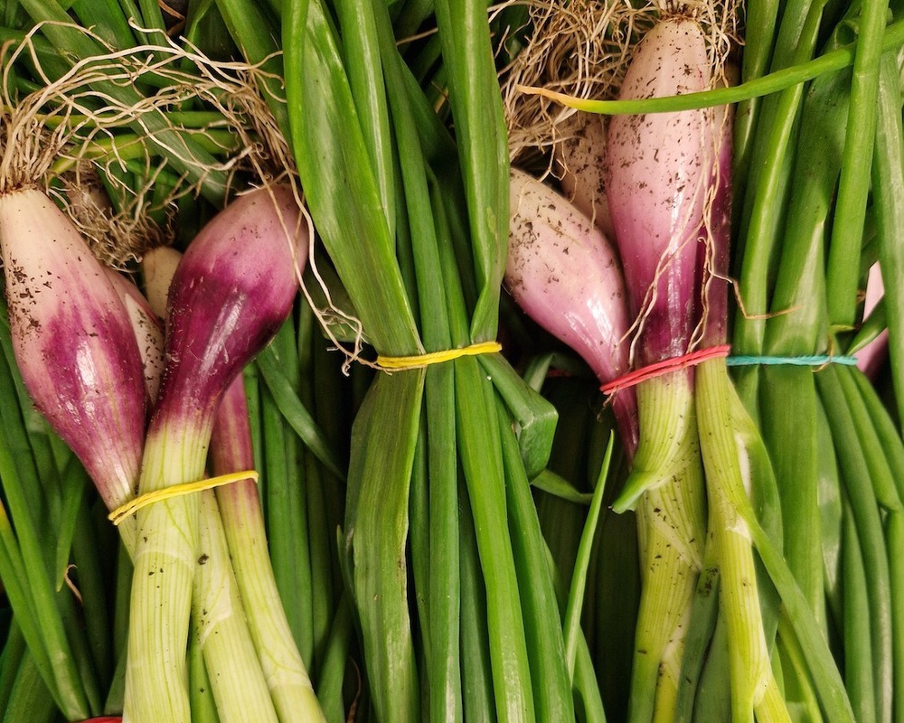 Local Spring Onions