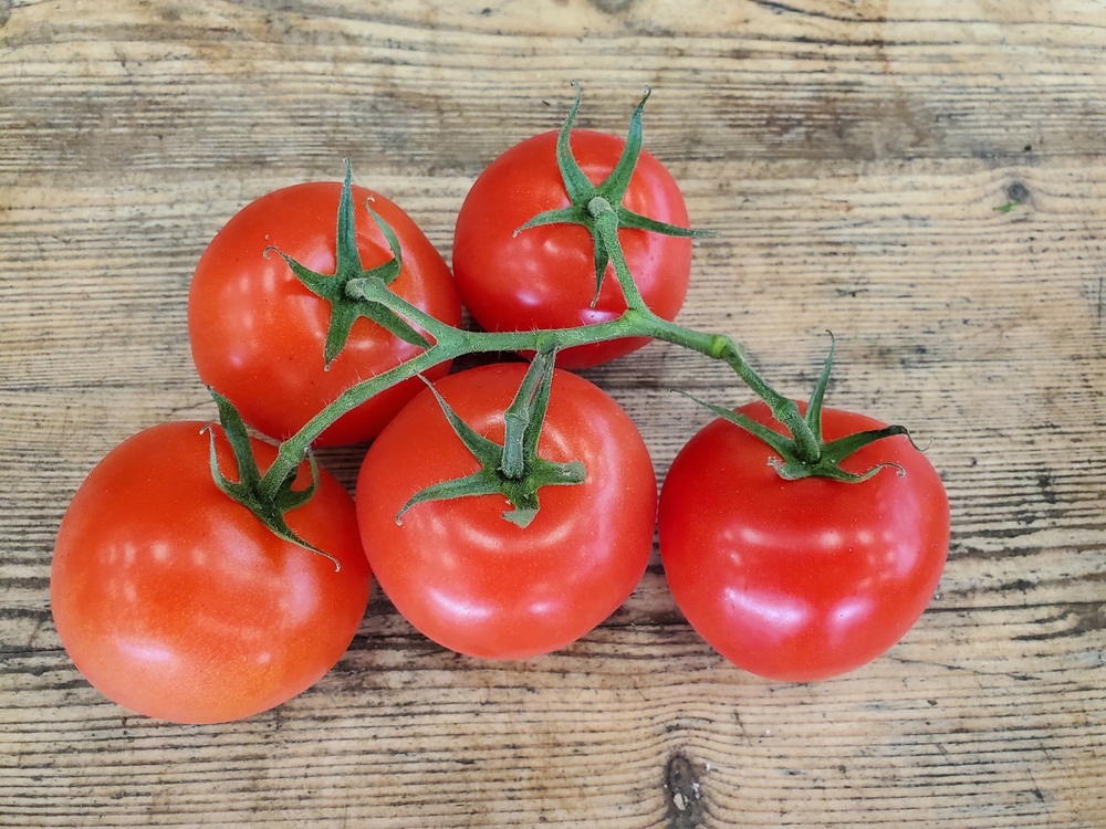Tomatoes - vine