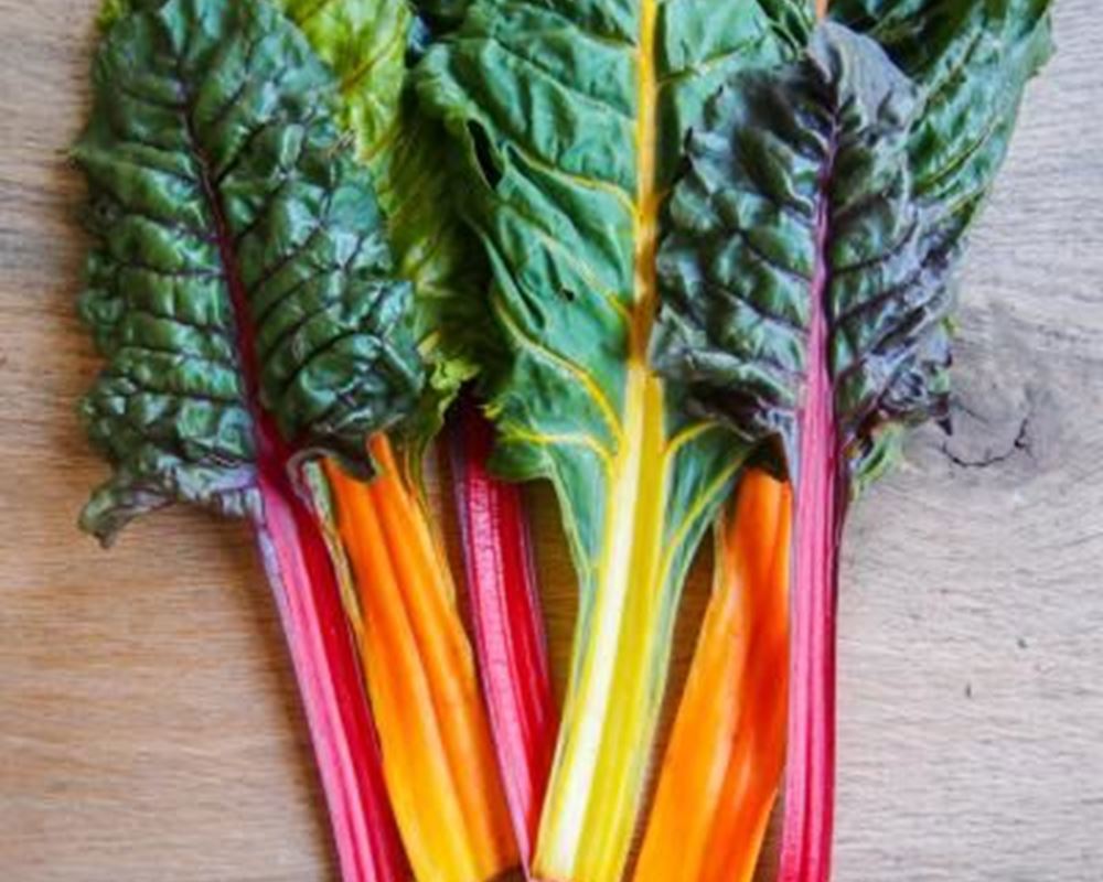 Chard - Rainbow 250g